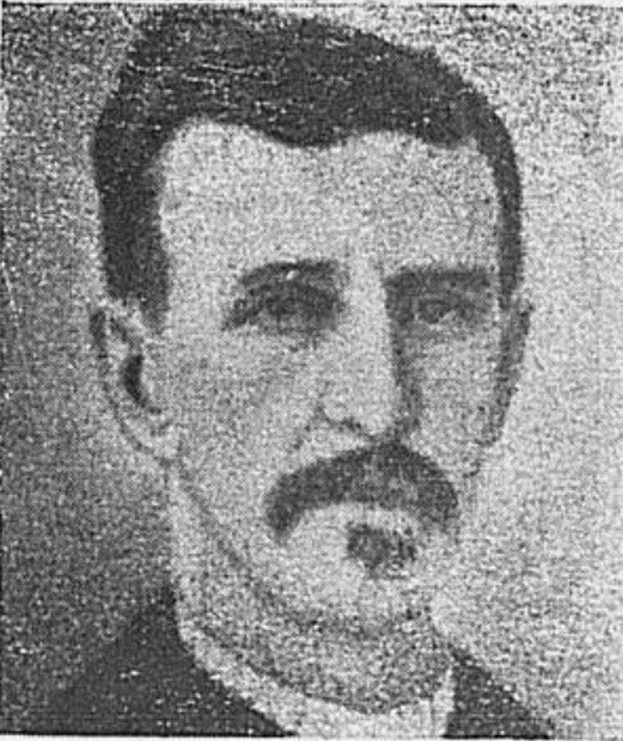 Porträt von Júlio Ribeiro (1845–1890) – Gedenkseite