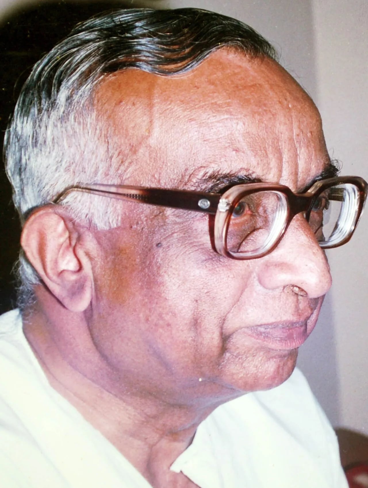 Portrait of K. N. Raj (1924–2010) – memorial page
