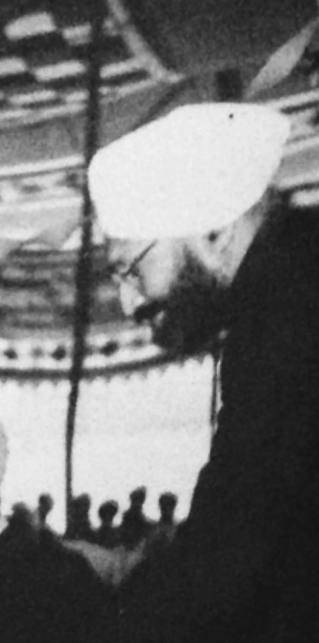 Porträt von Kapur Singh ICS (1909–1986) – Gedenkseite