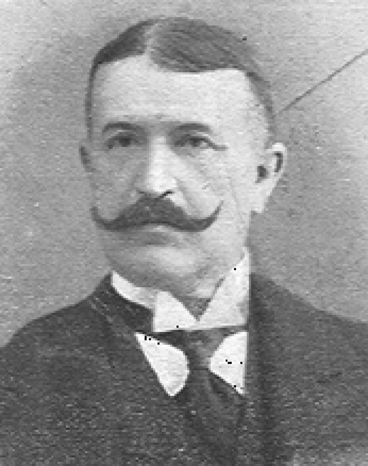 Portrait of Carlo Ridolfi (1858–1918) – memorial page