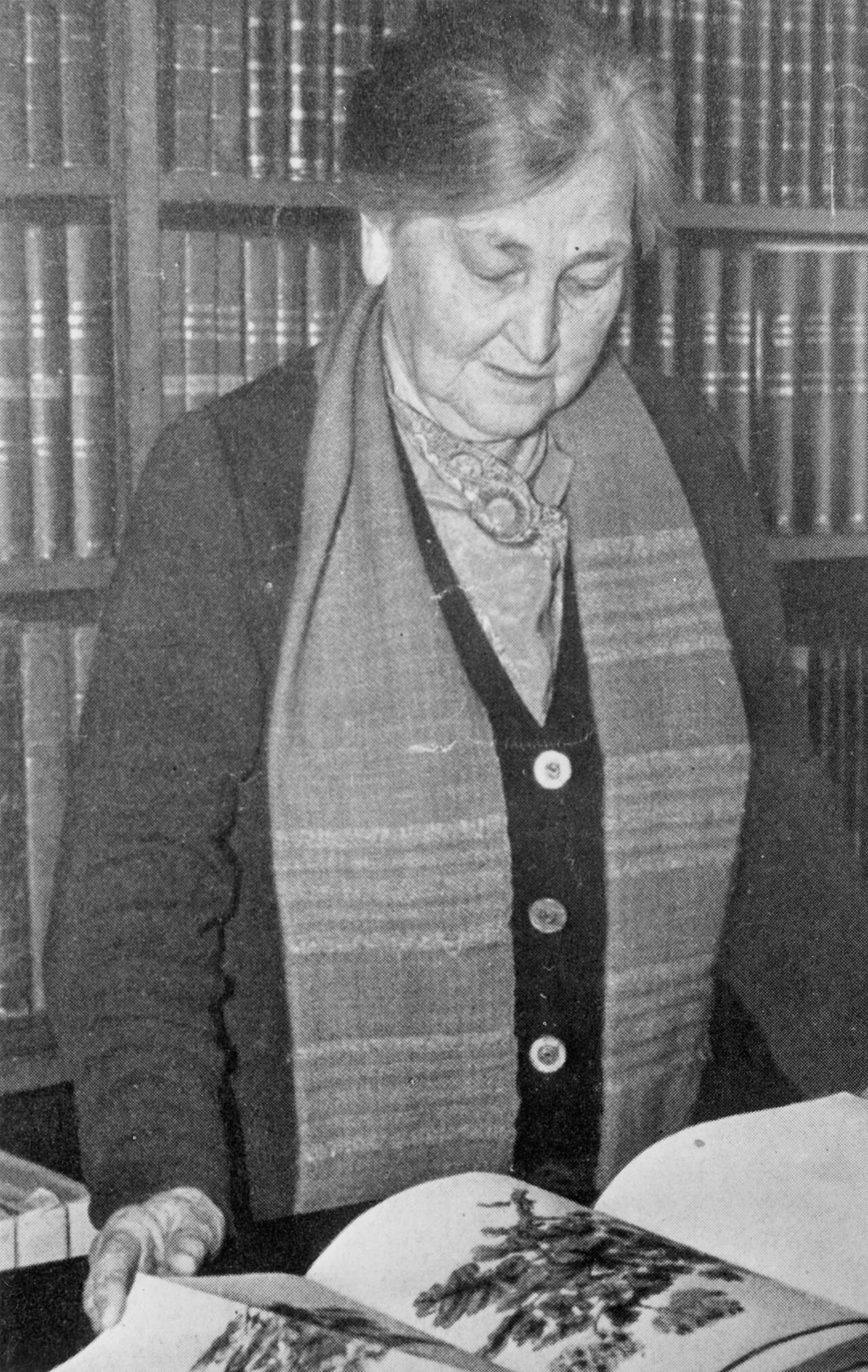 Porträt von Harriet Margaret Louisa Bolus (1877–1970) – Gedenkseite