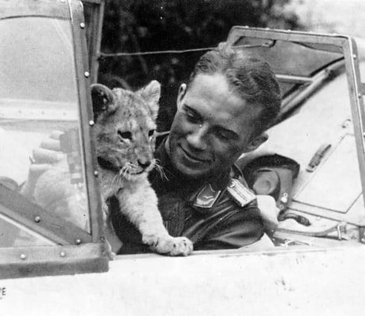 Porträt von Franz von Werra (1914–1941) – Gedenkseite