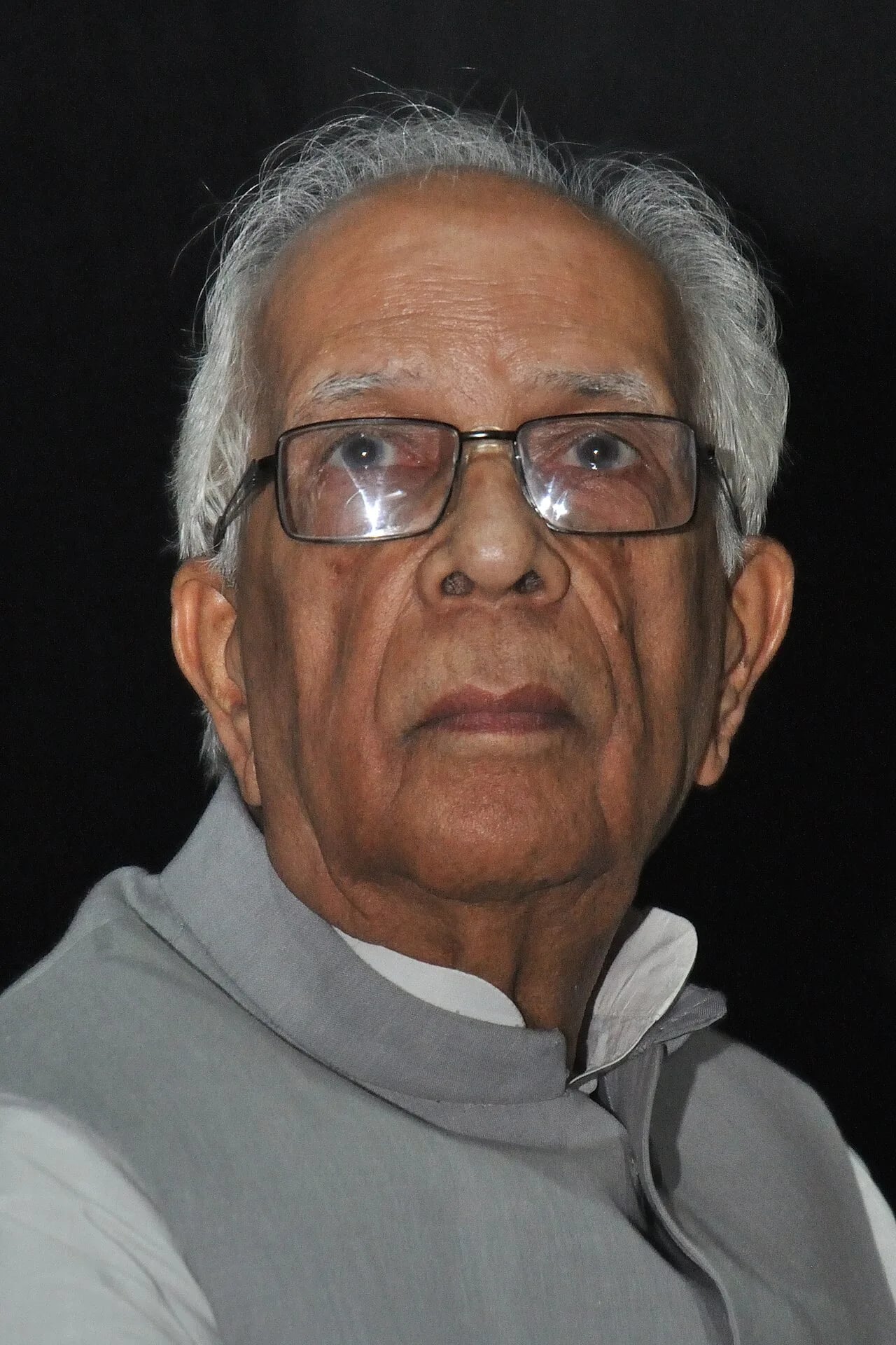 Portrait of Keshari Nath Tripathi (1934–2023) – memorial page
