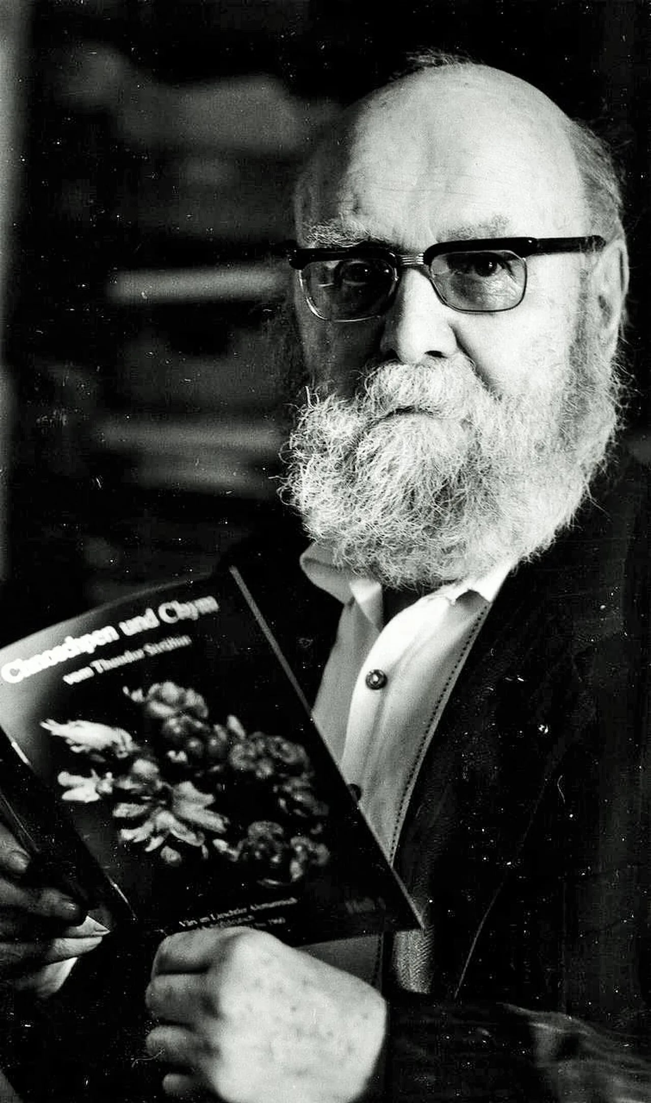 Porträt von Theodor Strübin (1908–1988) – Gedenkseite
