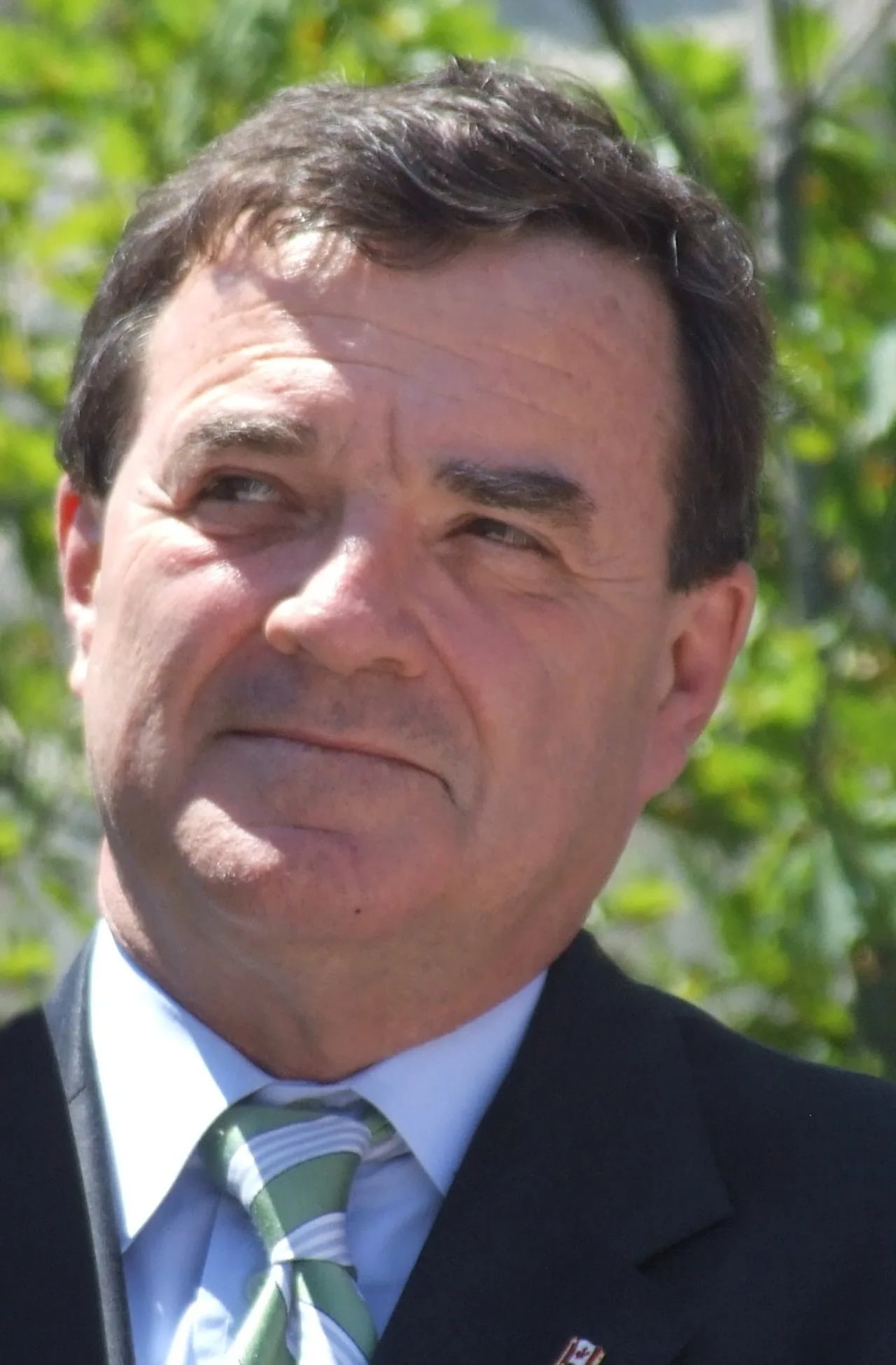 Portrait of Jim Flaherty (1949–2014) – memorial page