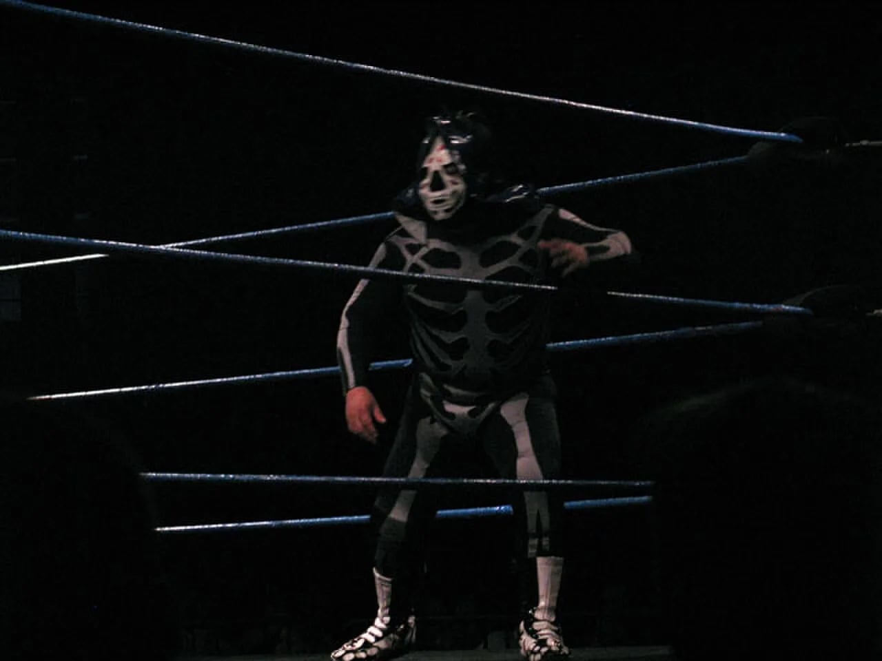 Porträt von La Parkita (1975–2009) – Gedenkseite