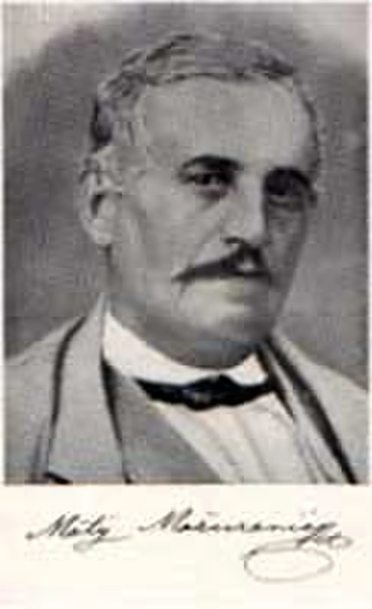 Porträt von Matija Mažuranić (1817–1881) – Gedenkseite