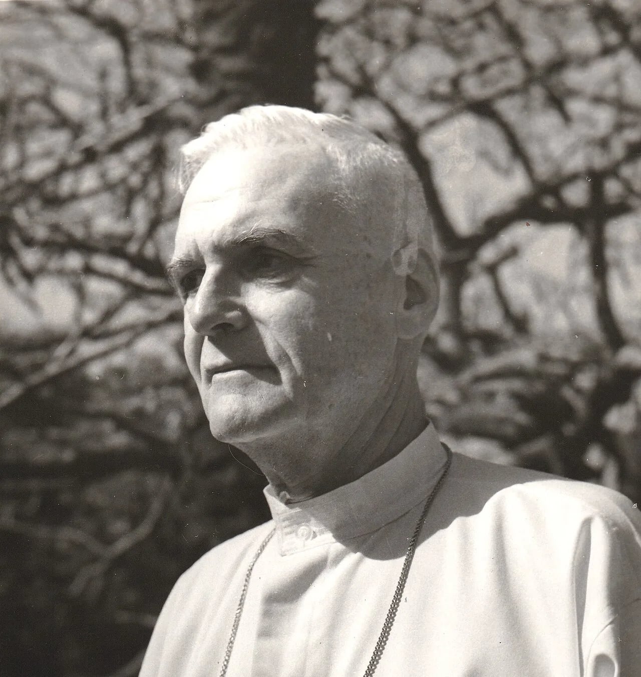 Porträt von Didier Pérouse de Montclos (1910–1980) – Gedenkseite