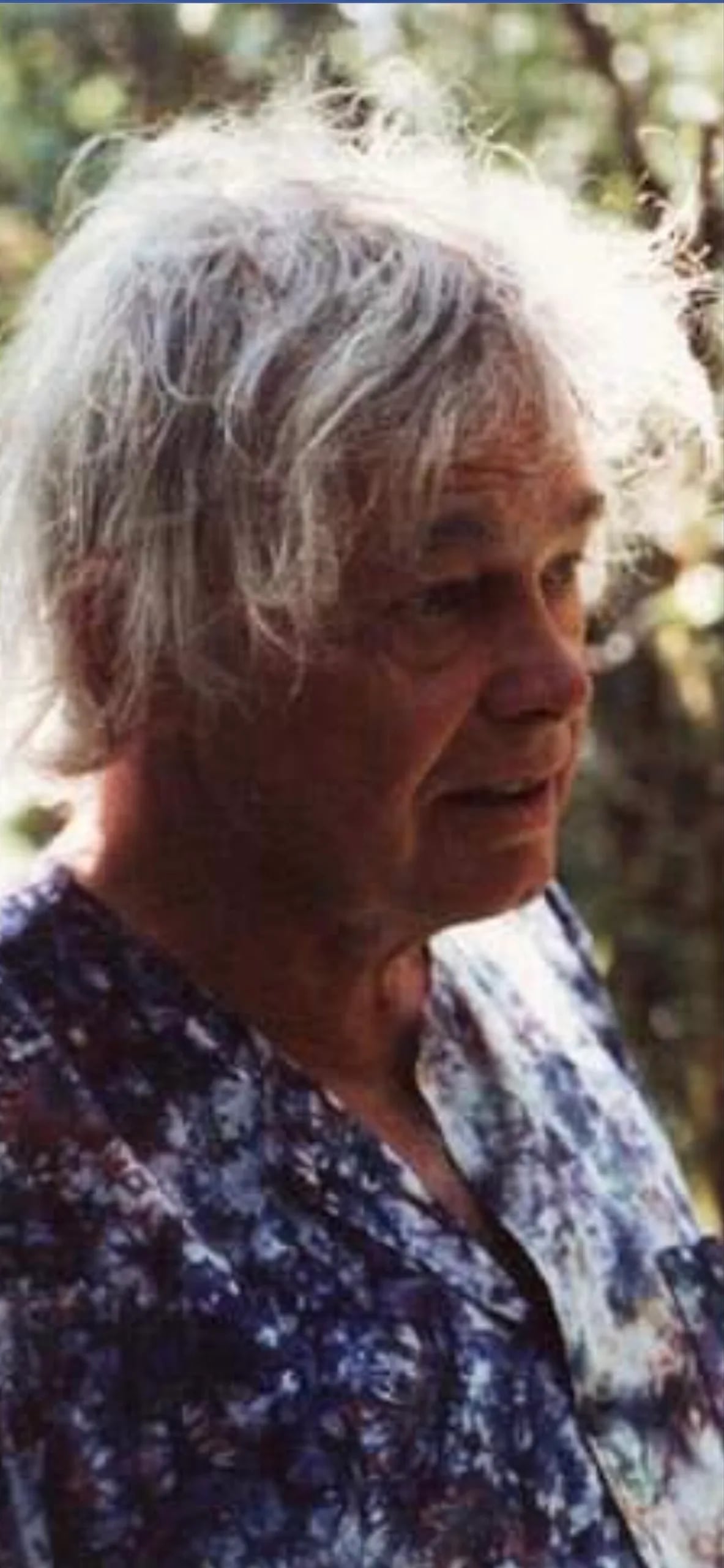 Porträt von Theo Gerber (1928–1997) – Gedenkseite