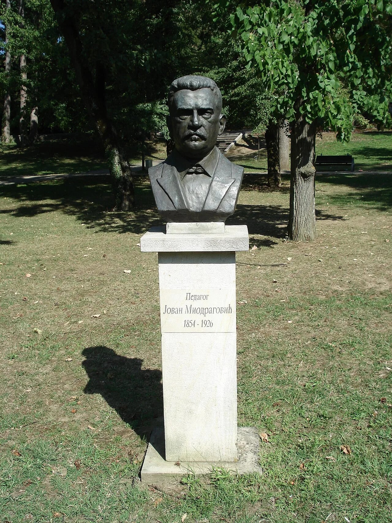 Portrait of Jovan Miodragović (1854–1926) – memorial page