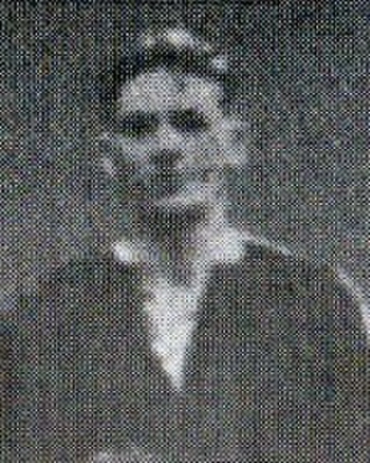 Porträt von Len Birks (1896–1975) – Gedenkseite