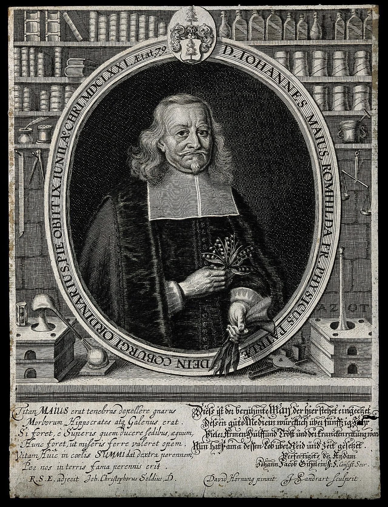 Portrait of Johannes May (1592–1671) – memorial page