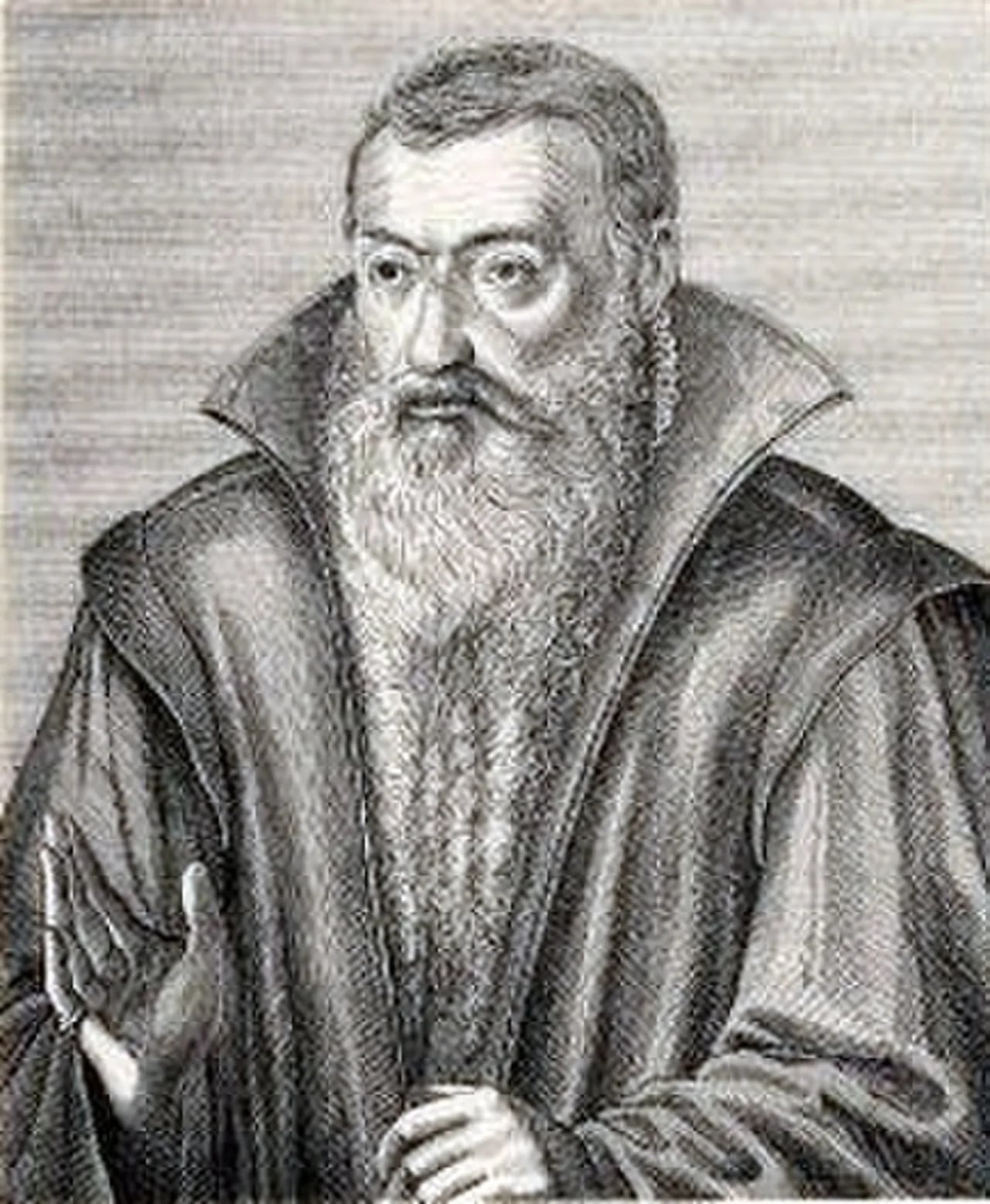 Porträt von Johannes Sturm (1507–1589) – Gedenkseite