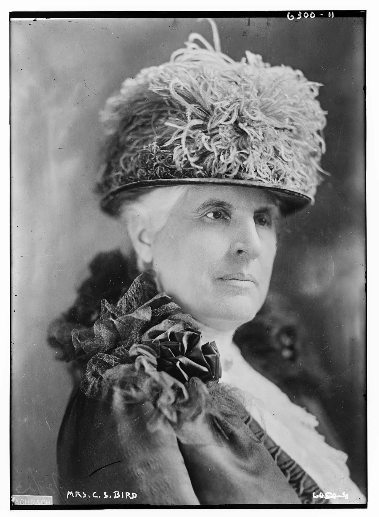 Portrait of Anna Julia Child Bird (1856–1942) – memorial page