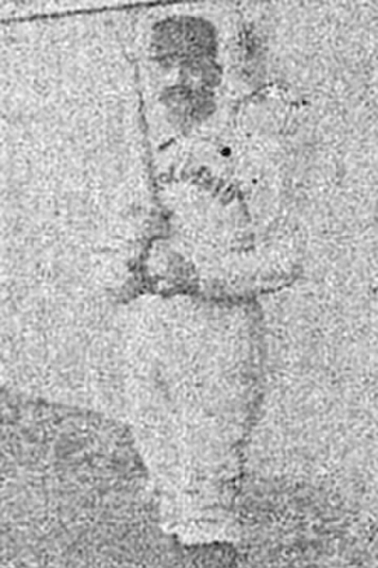 Portrait of Lou Sylvester (1855–1936) – memorial page