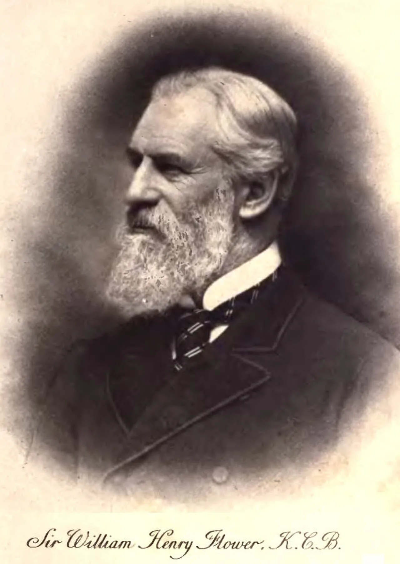 Porträt von William Henry Flower (1831–1899) – Gedenkseite