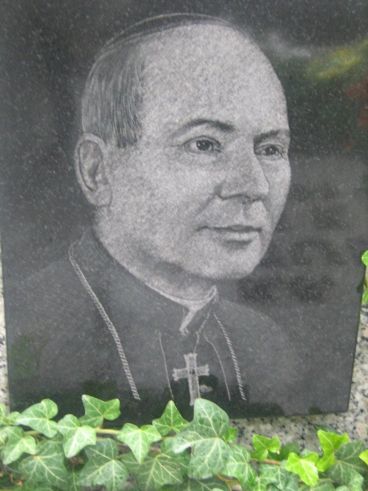 Portrait of Julian Pękala (1904–1977) – memorial page