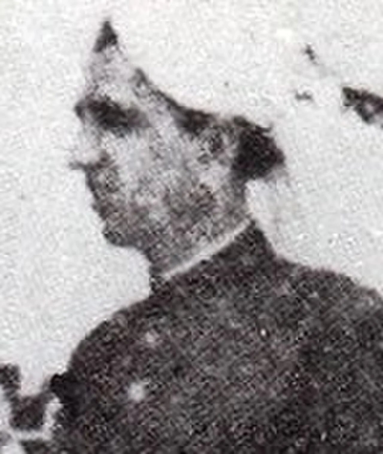 Portrait of Malik Khizar Hayat Tiwana (1900–1975) – memorial page