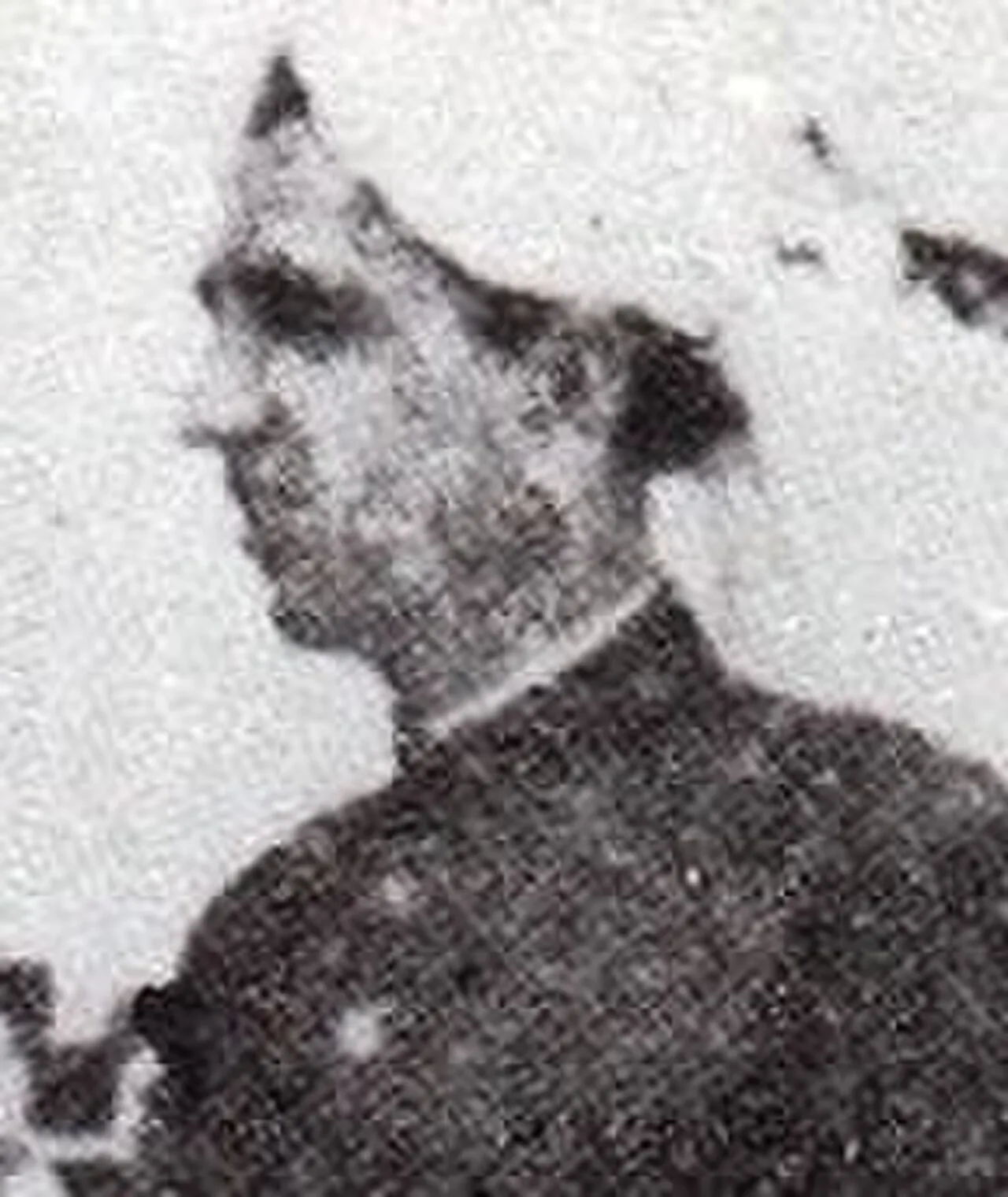 Porträt von Malik Khizar Hayat Tiwana (1900–1975) – Gedenkseite