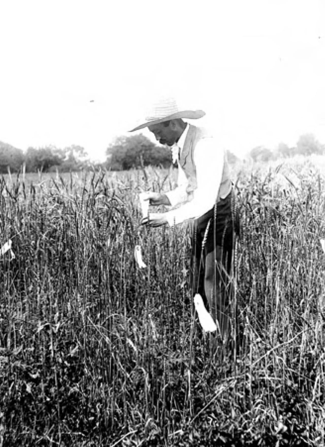 Portrait of Mark A. Carleton (1866–1925) – memorial page