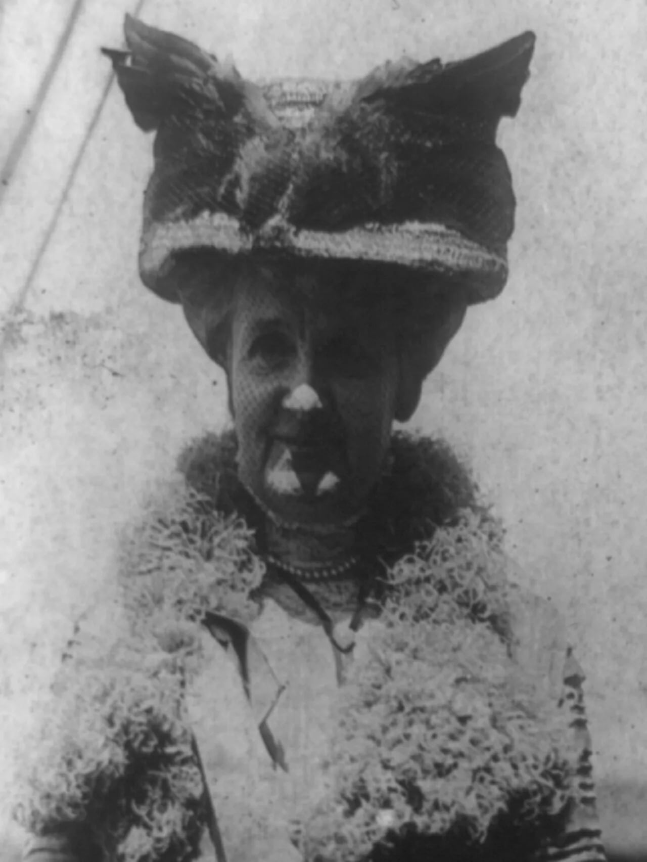 Portrait of Mary Williamson Averell (1851–1932) – memorial page