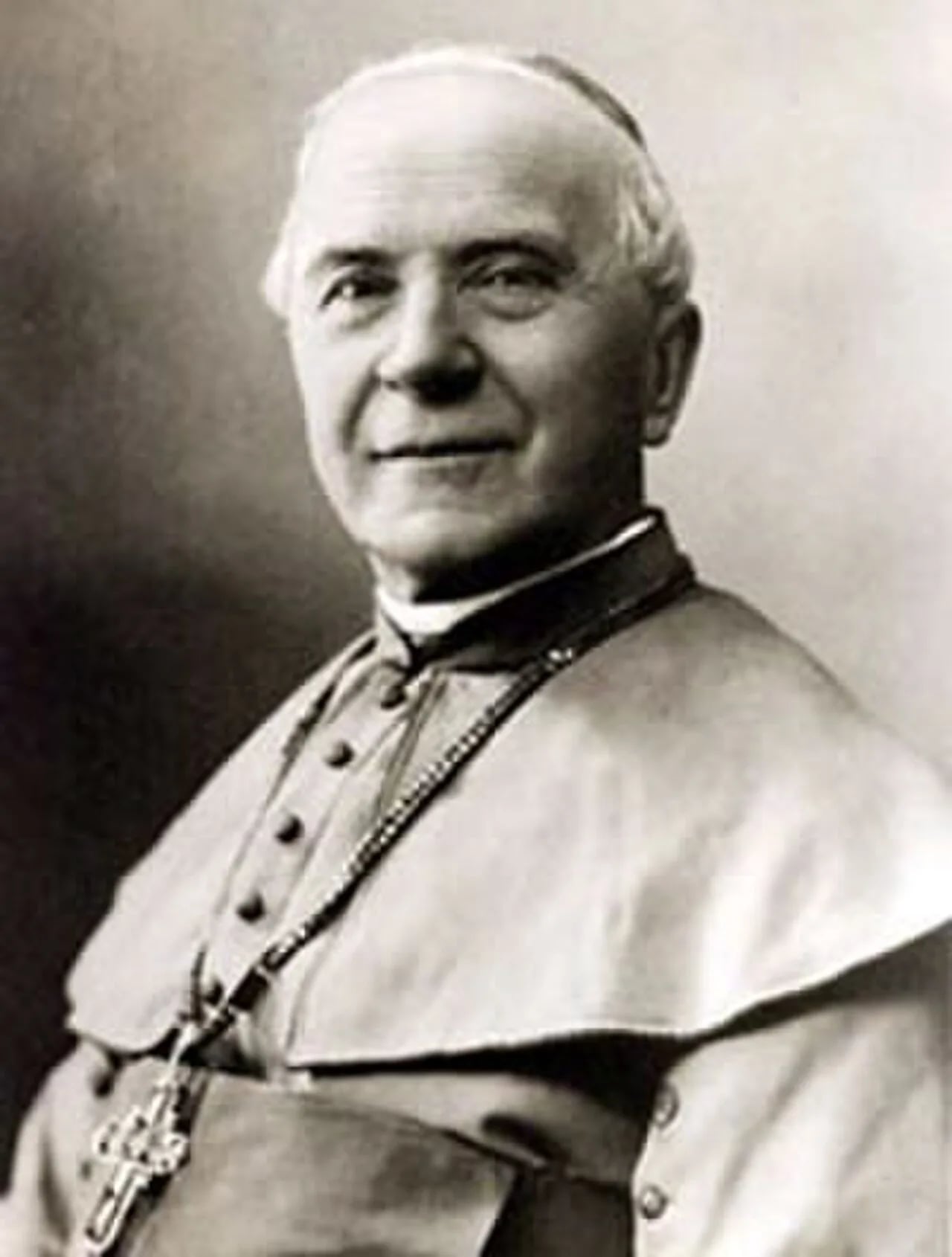 Porträt von Józef Sebastian Pelczar (1842–1924) – Gedenkseite