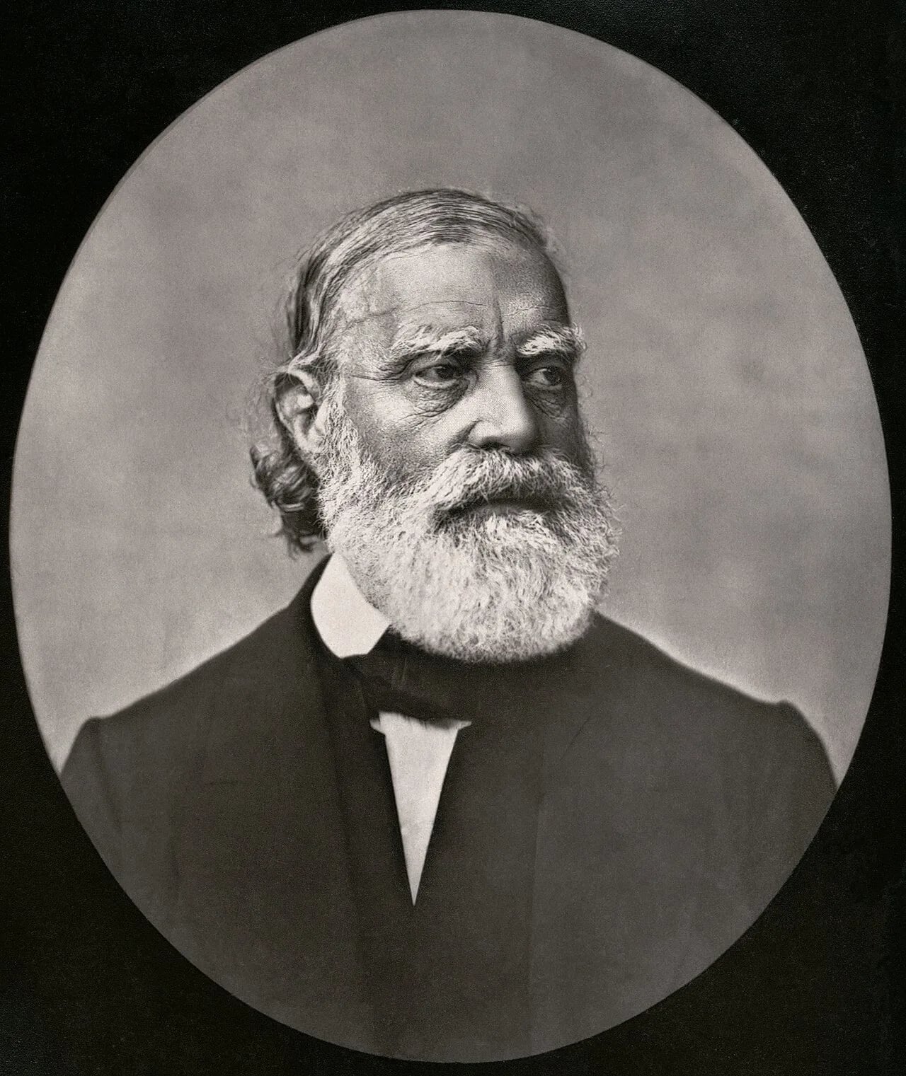 Porträt von François-Vincent Raspail (1794–1878) – Gedenkseite