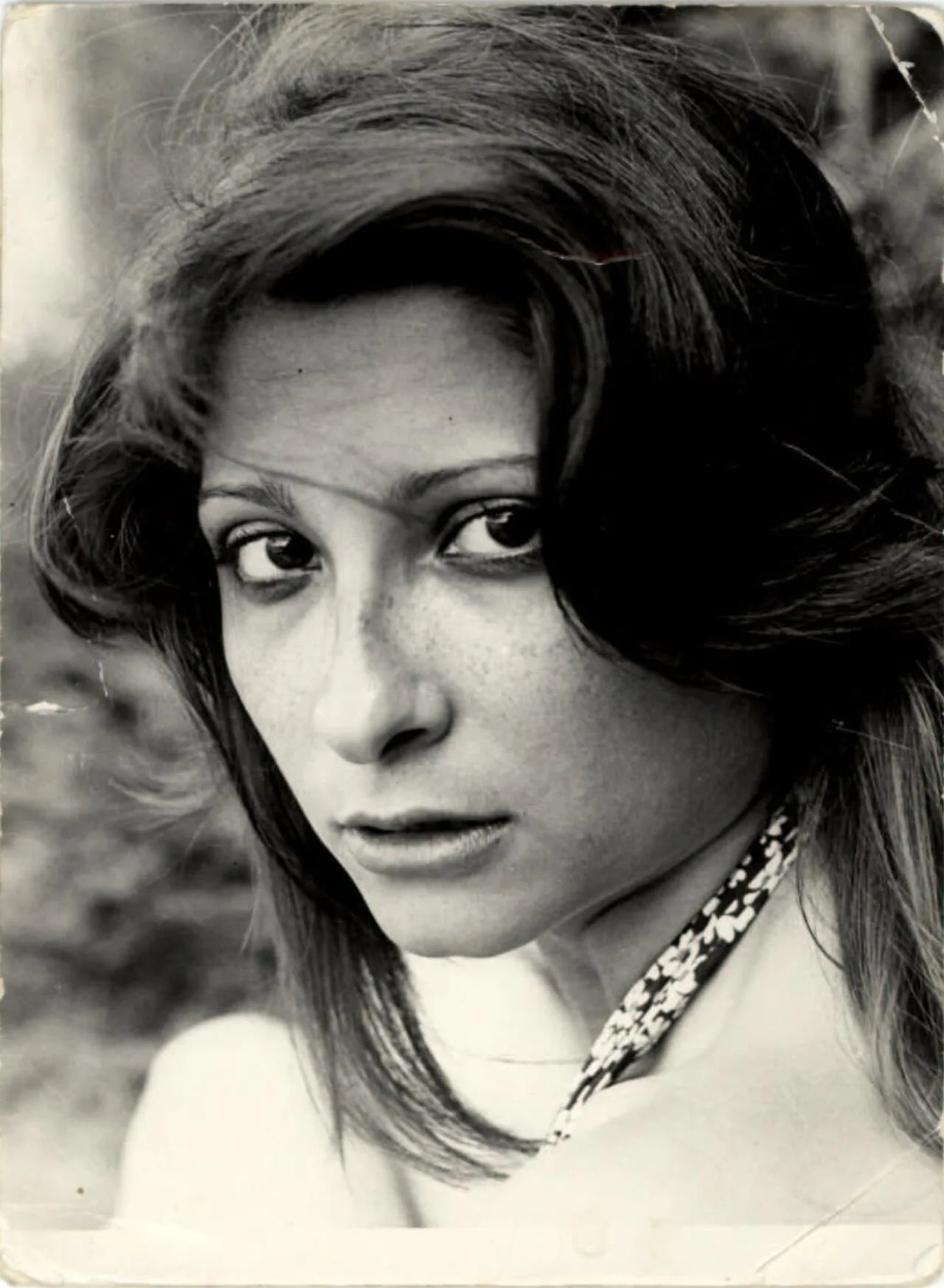 Porträt von Mihaela Mitrache (1955–2008) – Gedenkseite