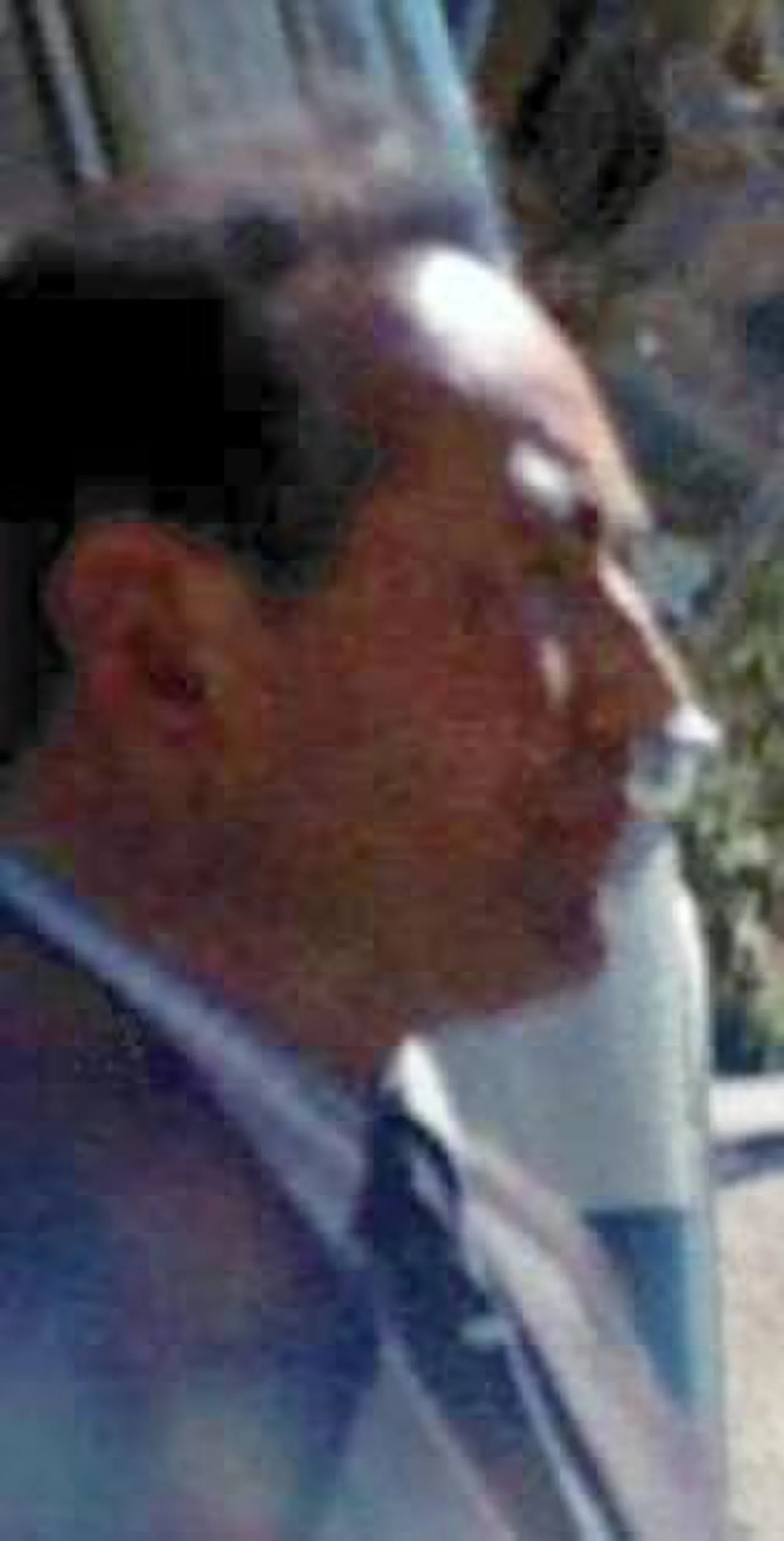 Porträt von Mussa Mirsapajasowitsch Adyschew (1915–1979) – Gedenkseite