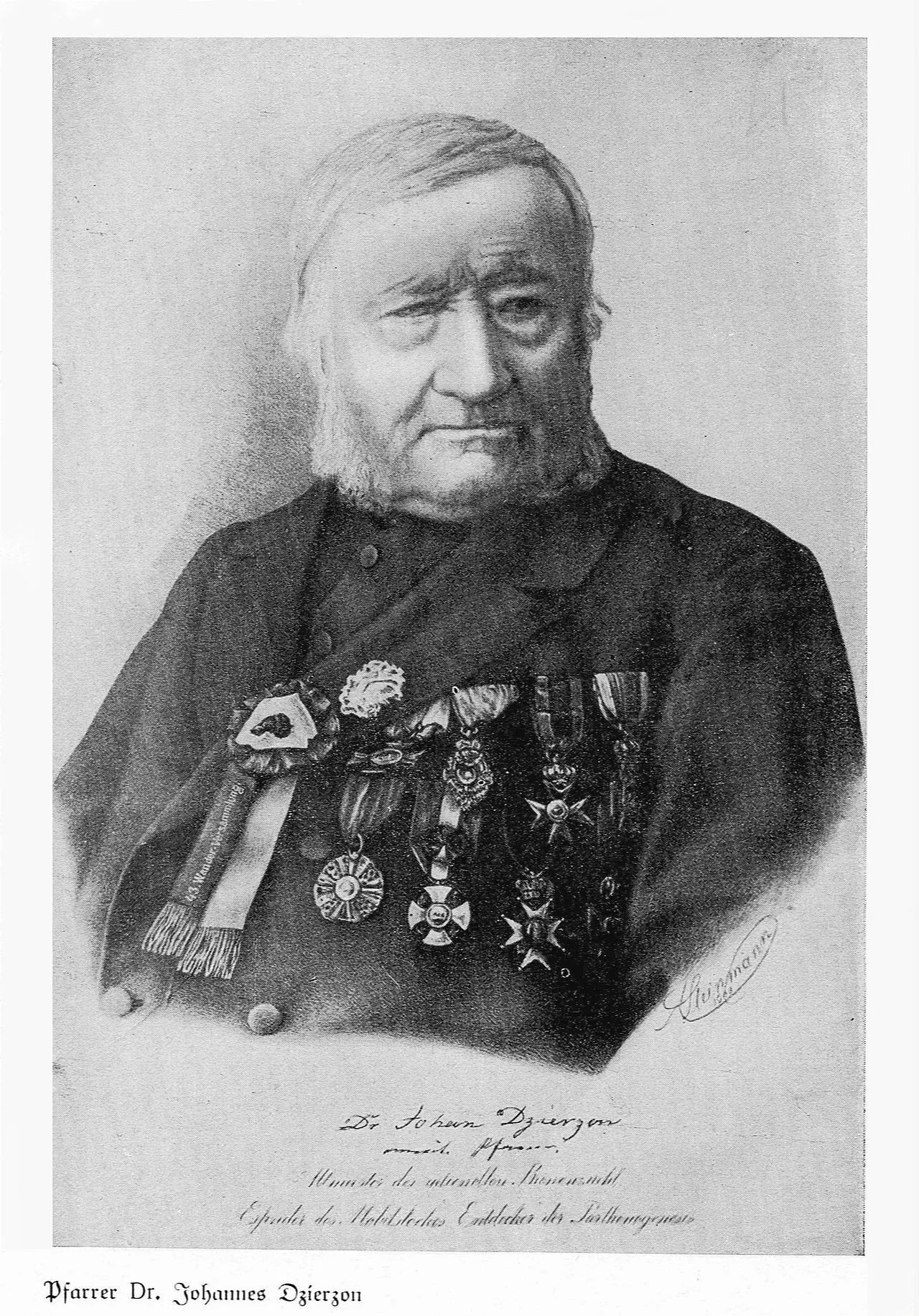 Porträt von Johann Dzierzon (1811–1906) – Gedenkseite