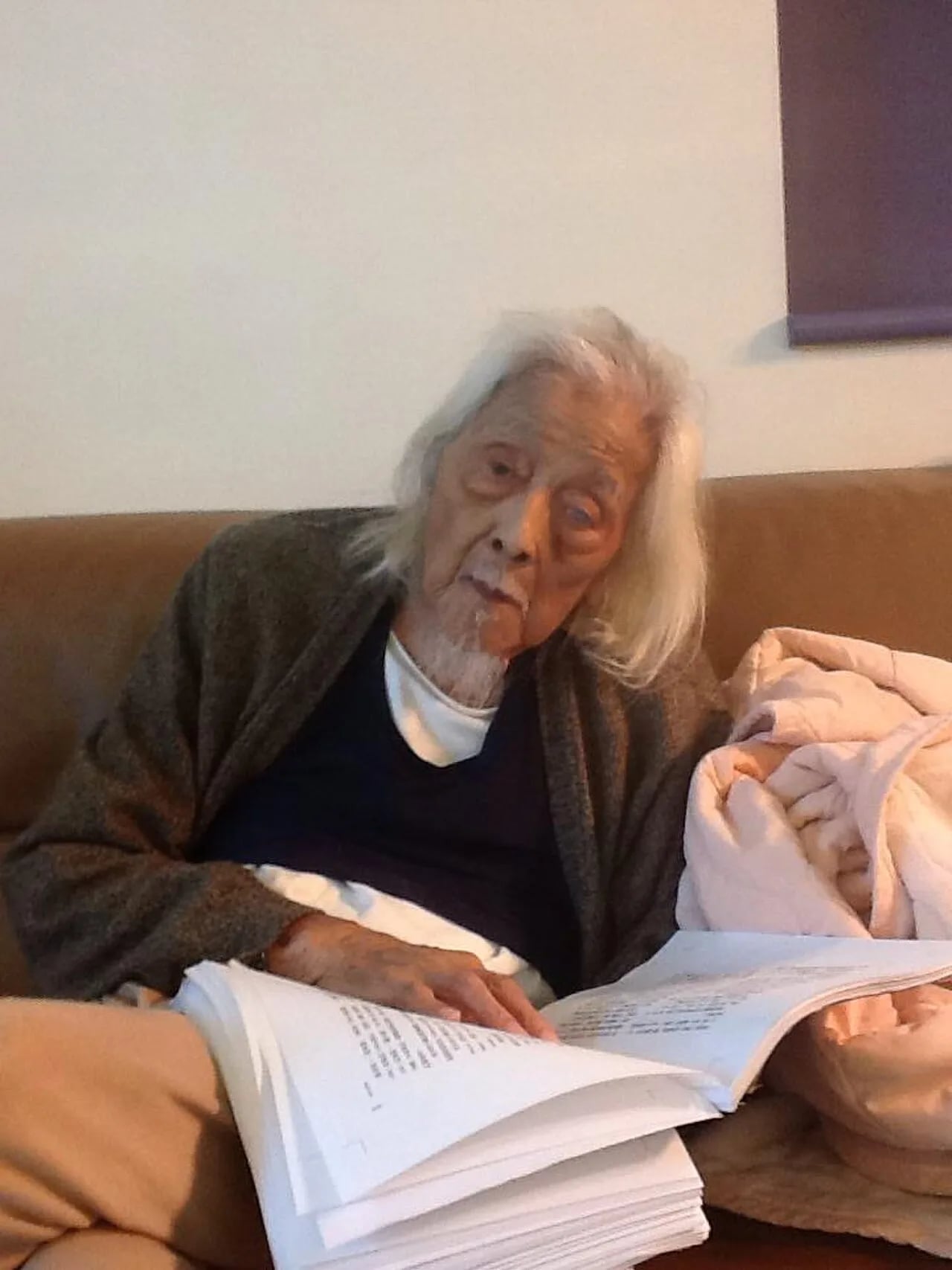 Portrait of Su Beng (1918–2019) – memorial page