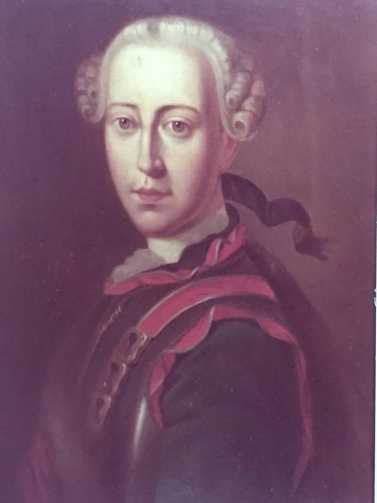 Portrait of Heinrich Gottfried von Mattuschka (1734–1779) – memorial page