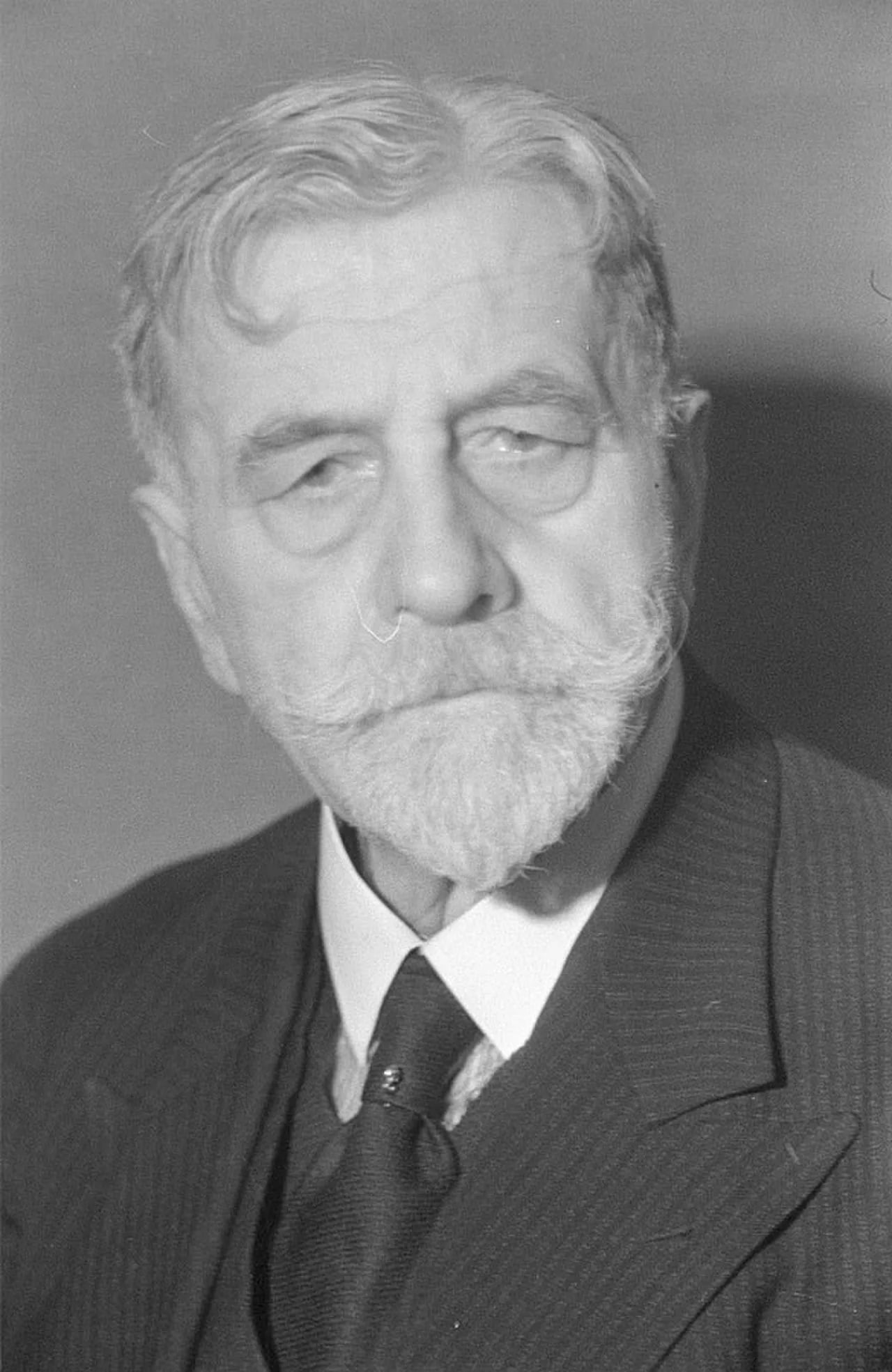 Porträt von Wilhelm Külz (1875–1948) – Gedenkseite
