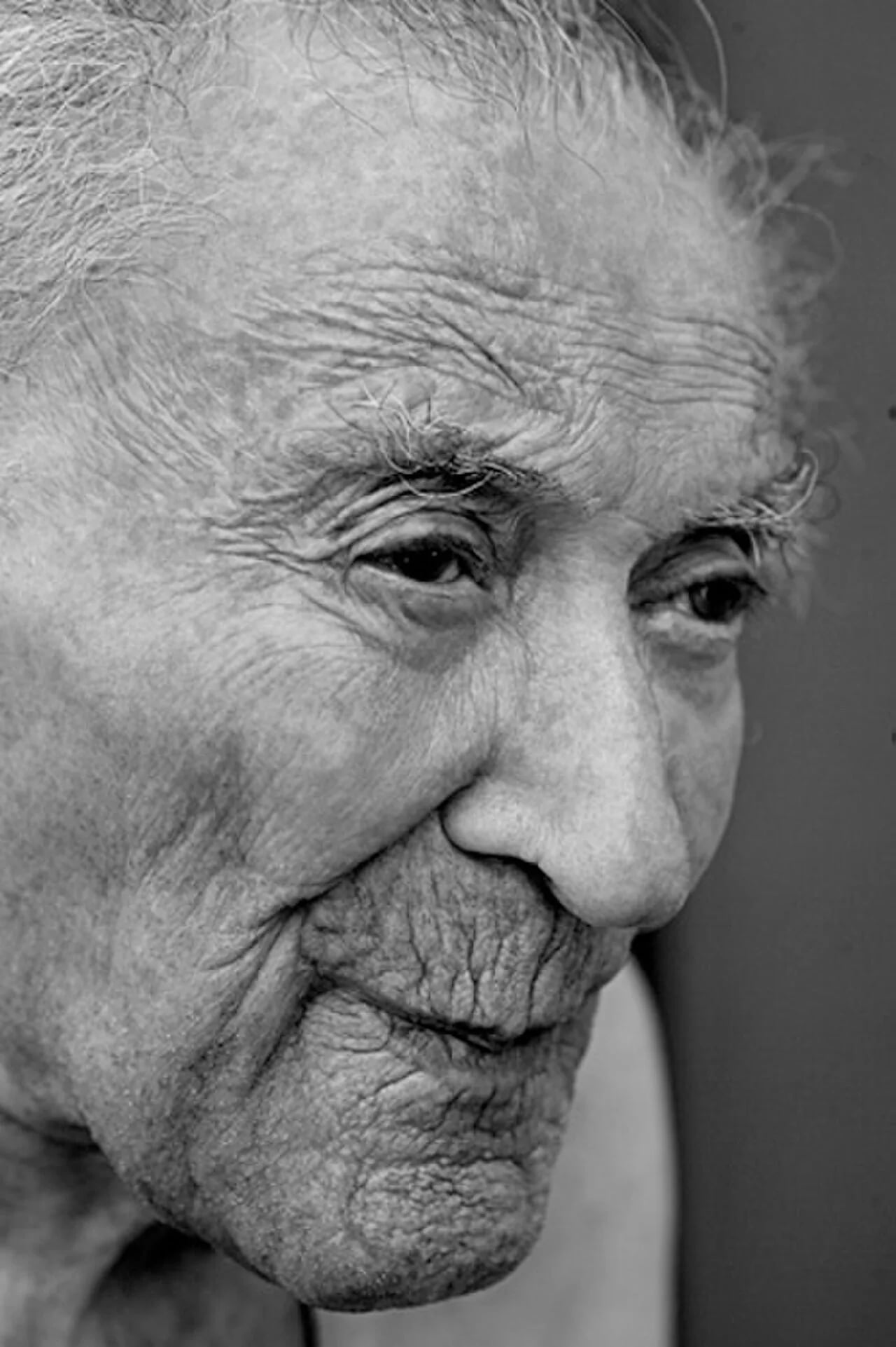 Porträt von François Fejtő (1909–2008) – Gedenkseite