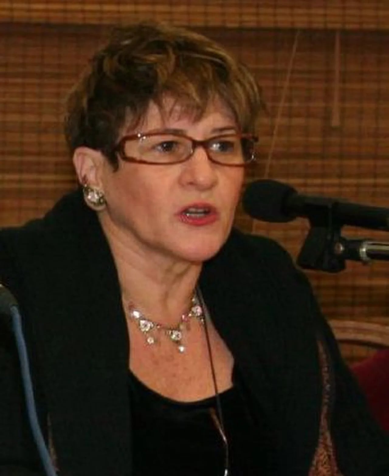 Portrait of Hava Pinhas-Cohen (1955–2022) – memorial page
