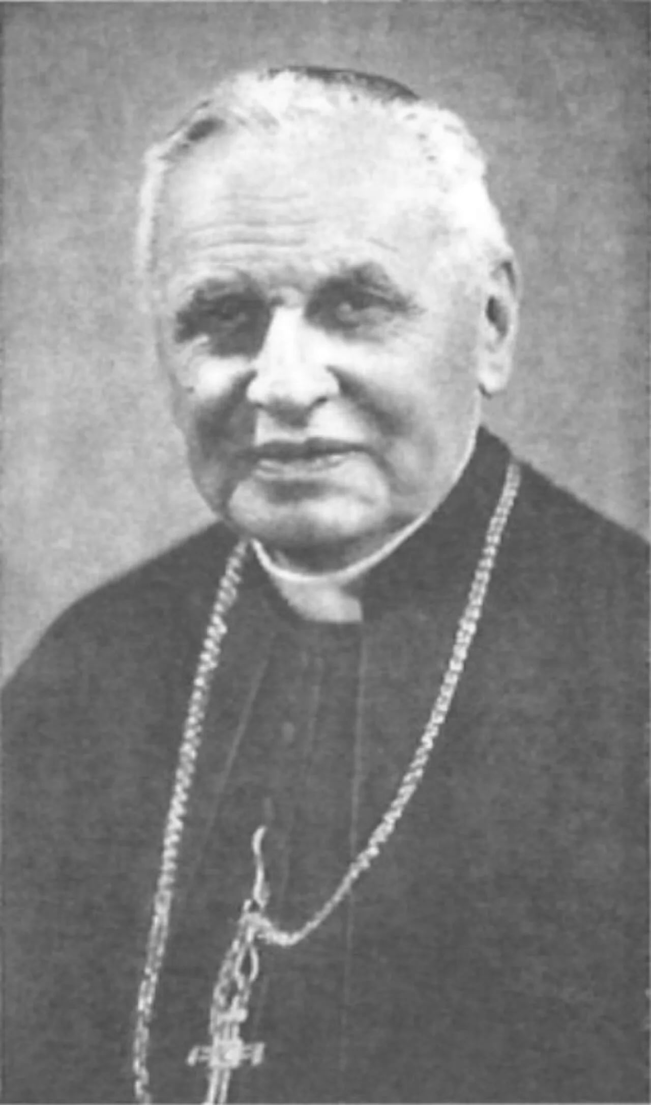 Portrait of Emmanuel Suhard (1874–1949) – memorial page