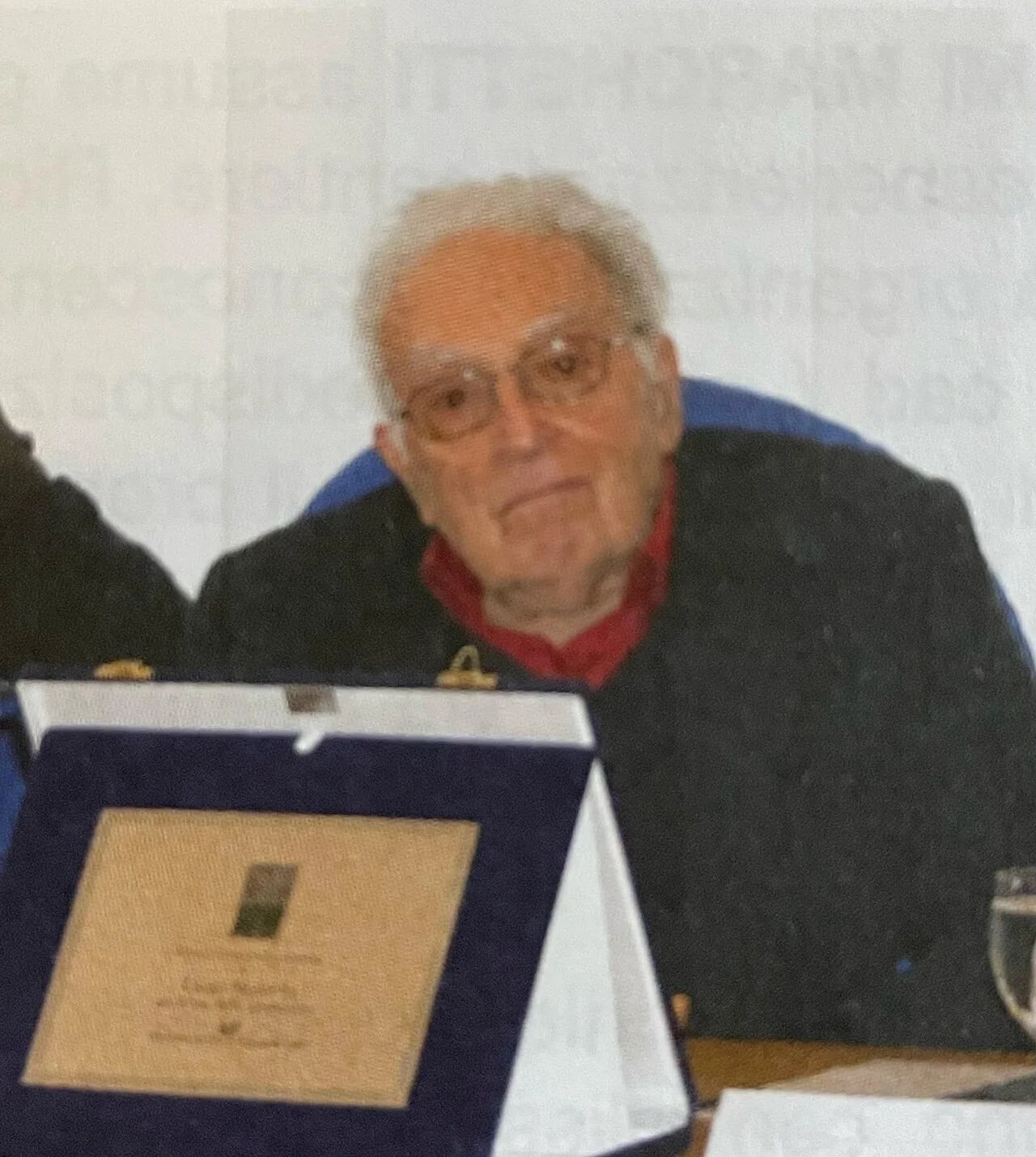 Porträt von Luigi Malerba (1927–2008) – Gedenkseite