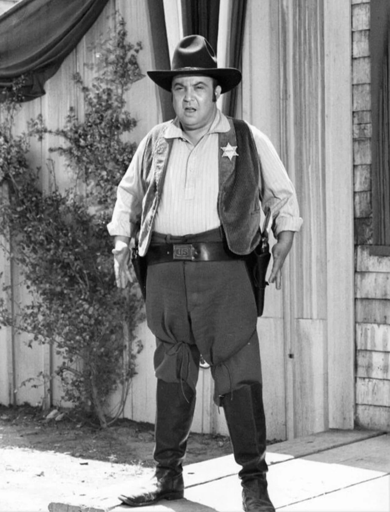 Porträt von Allan Sherman (1924–1973) – Gedenkseite