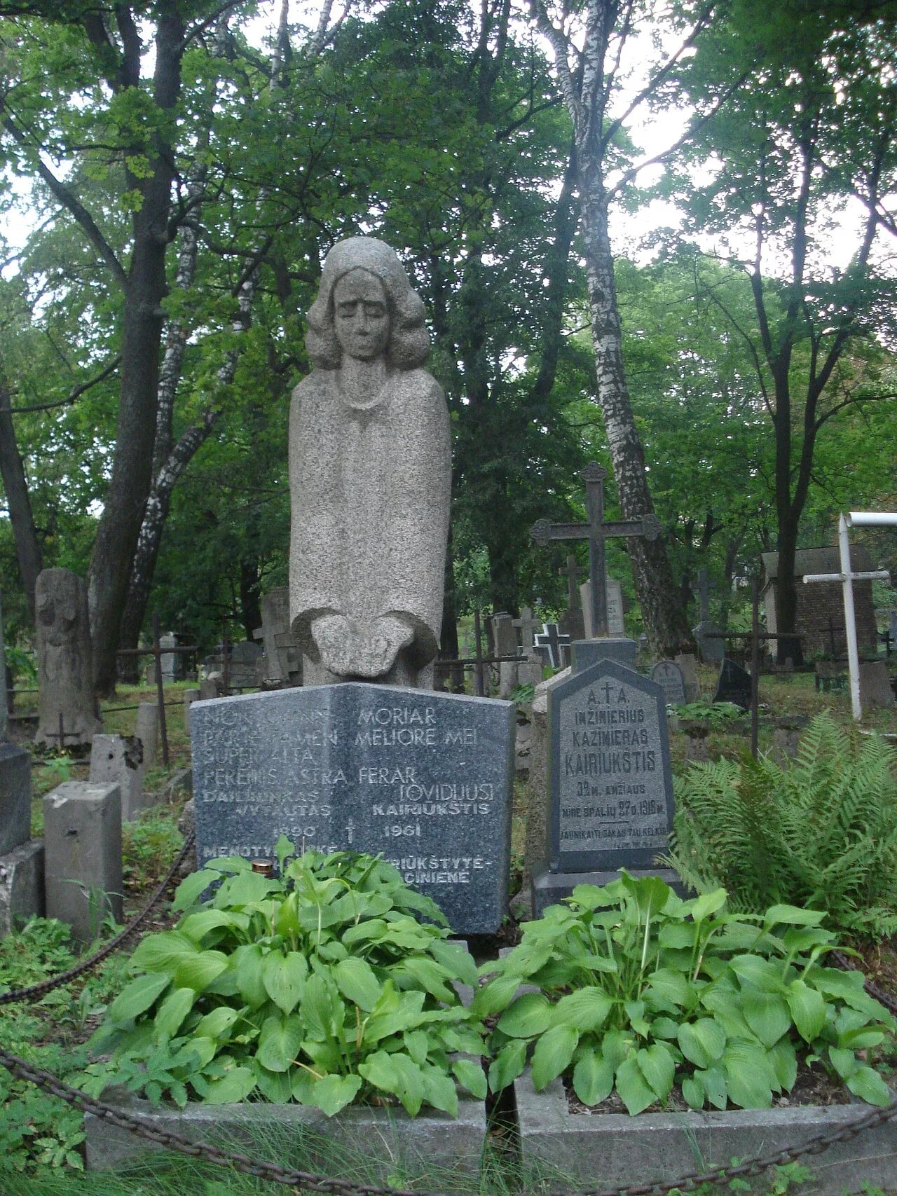 Porträt von Vytautas Kairiūkštis (1890–1961) – Gedenkseite