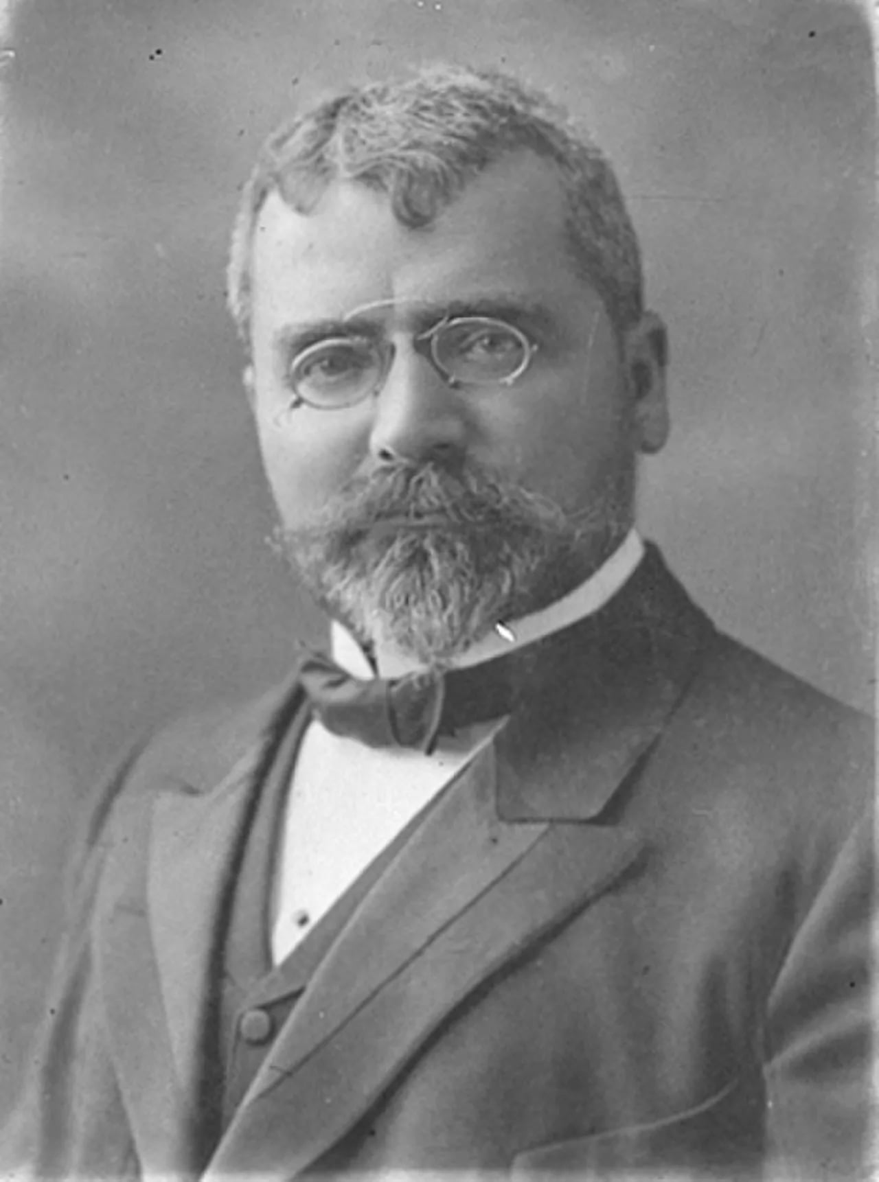 Portrait of Stojan Danew (1858–1949) – memorial page