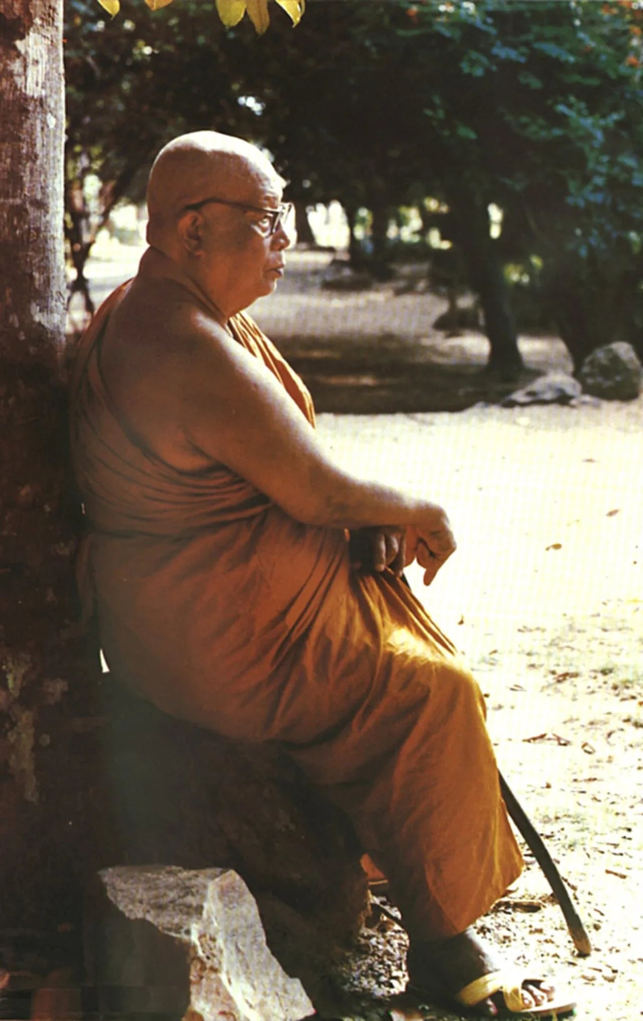 Portrait of Buddhadasa (1906–1993) – memorial page