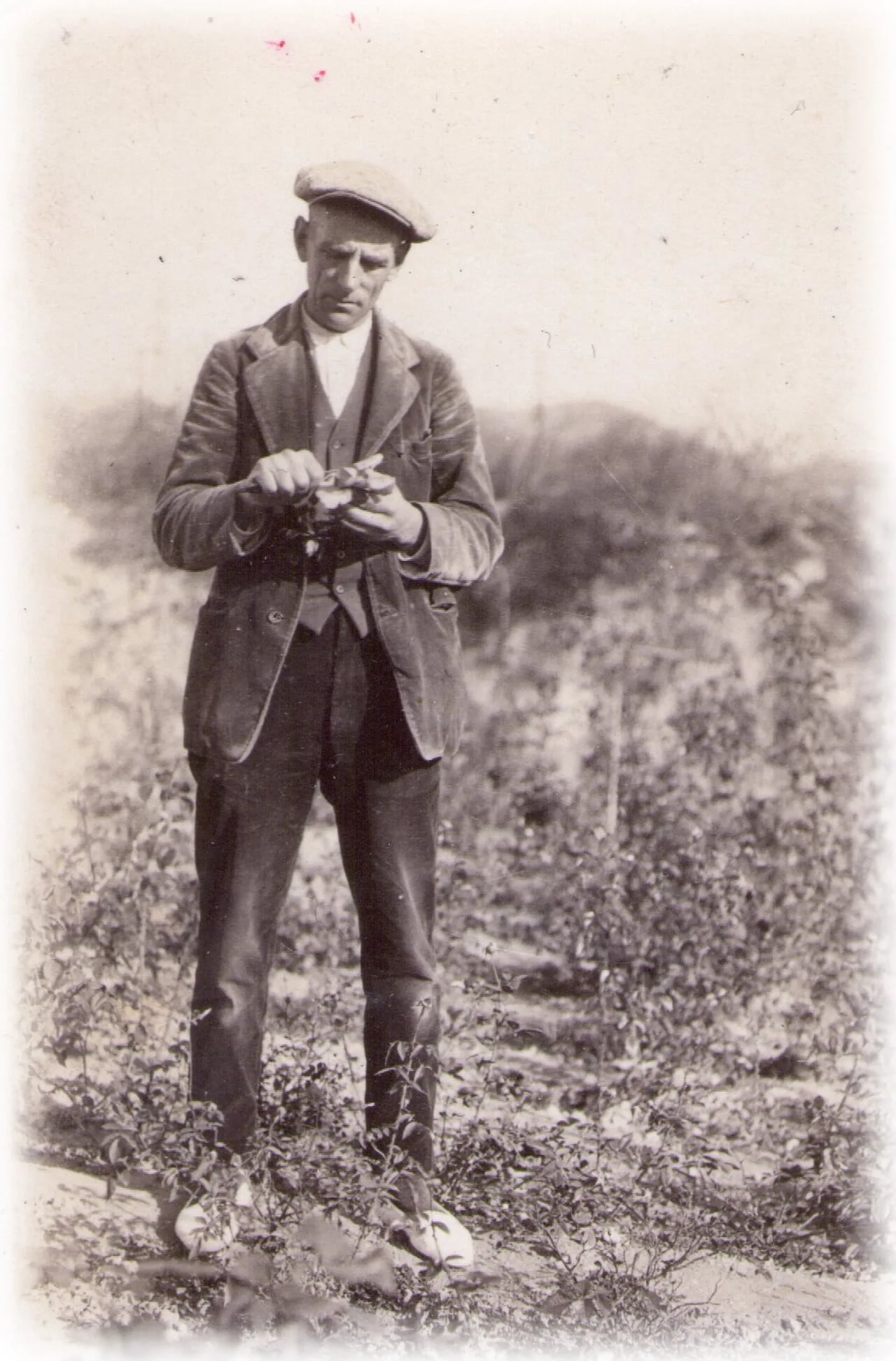 Porträt von Pedro Dot (1885–1976) – Gedenkseite