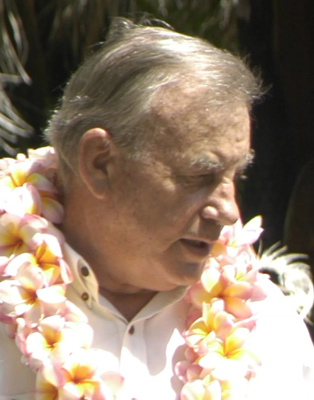 Porträt von Peter Barter (1940–2022) – Gedenkseite