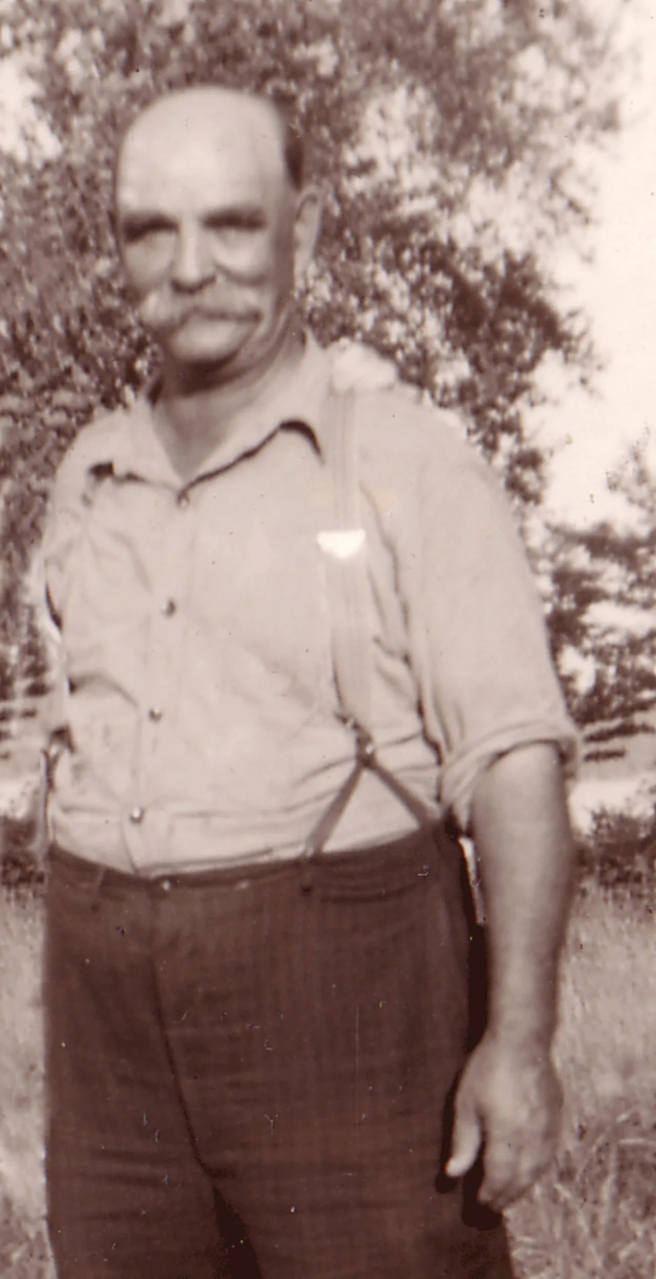 Portrait of William Nathan McDowell (1881–1966) – memorial page