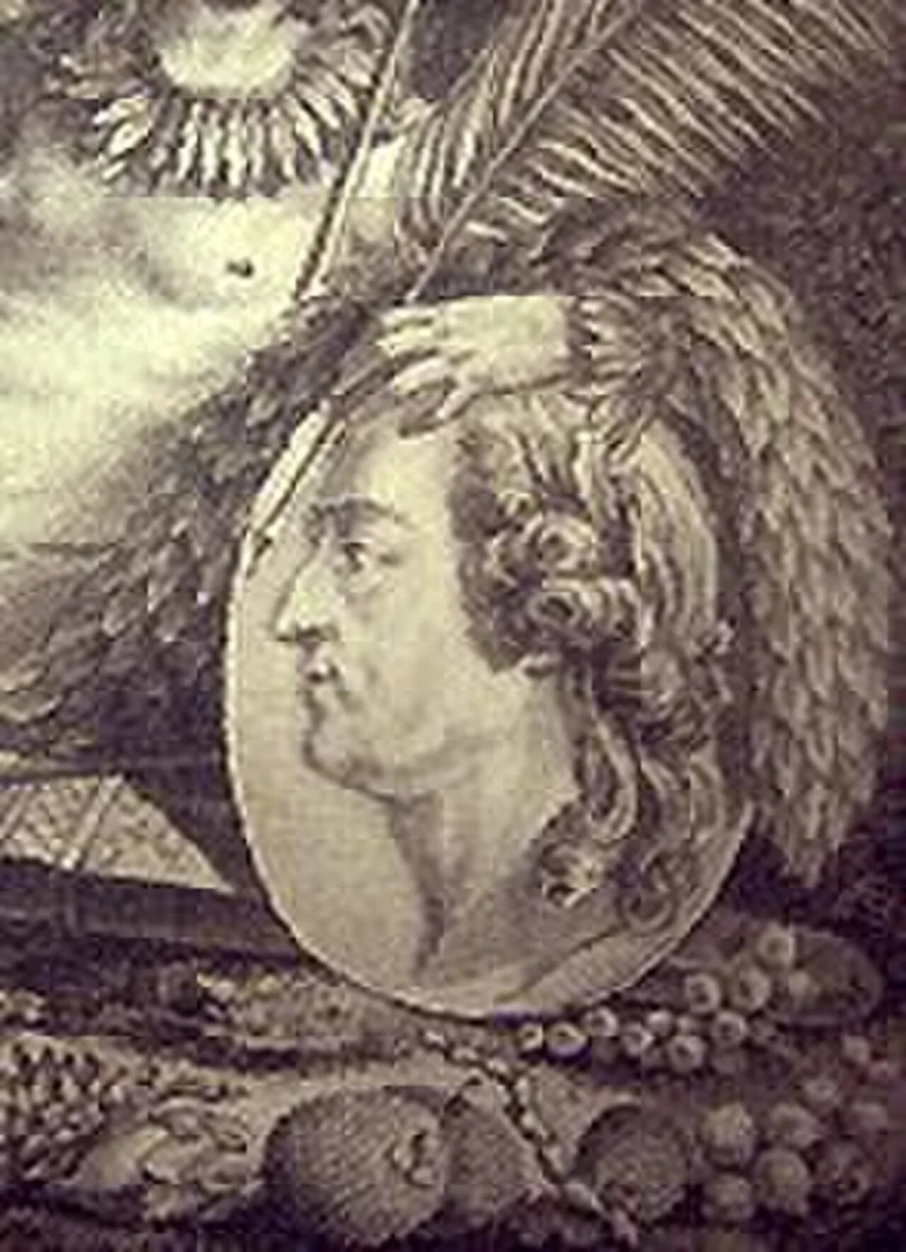 Portrait of Jean Baptiste Christophe Fusée Aublet (1723–1778) – memorial page