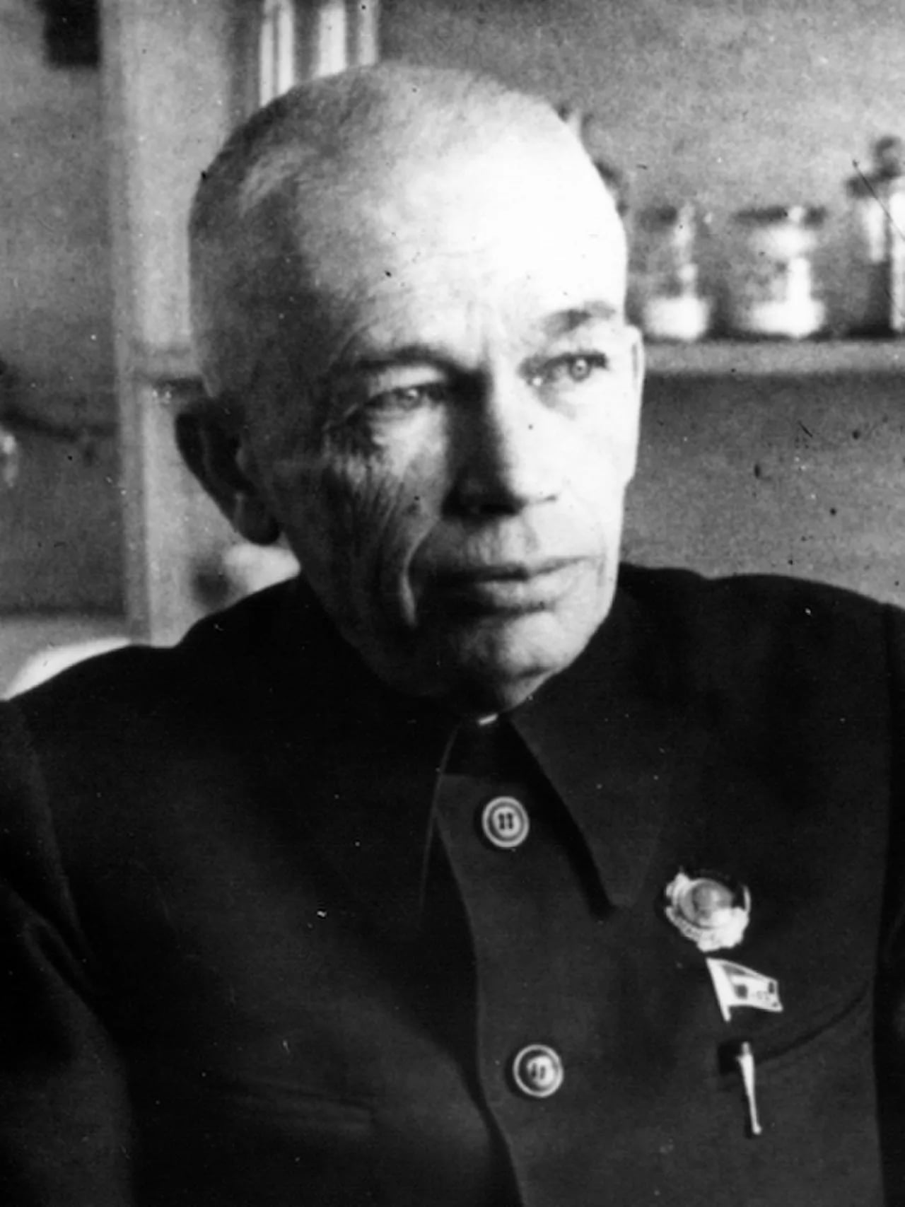 Portrait of Alexander Bogomolez (1881–1946) – memorial page