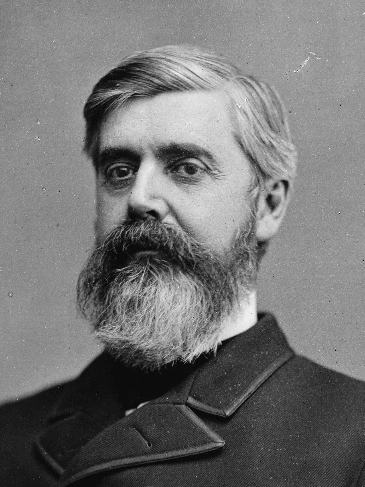 Portrait of Walter Q. Gresham (1832–1895) – memorial page
