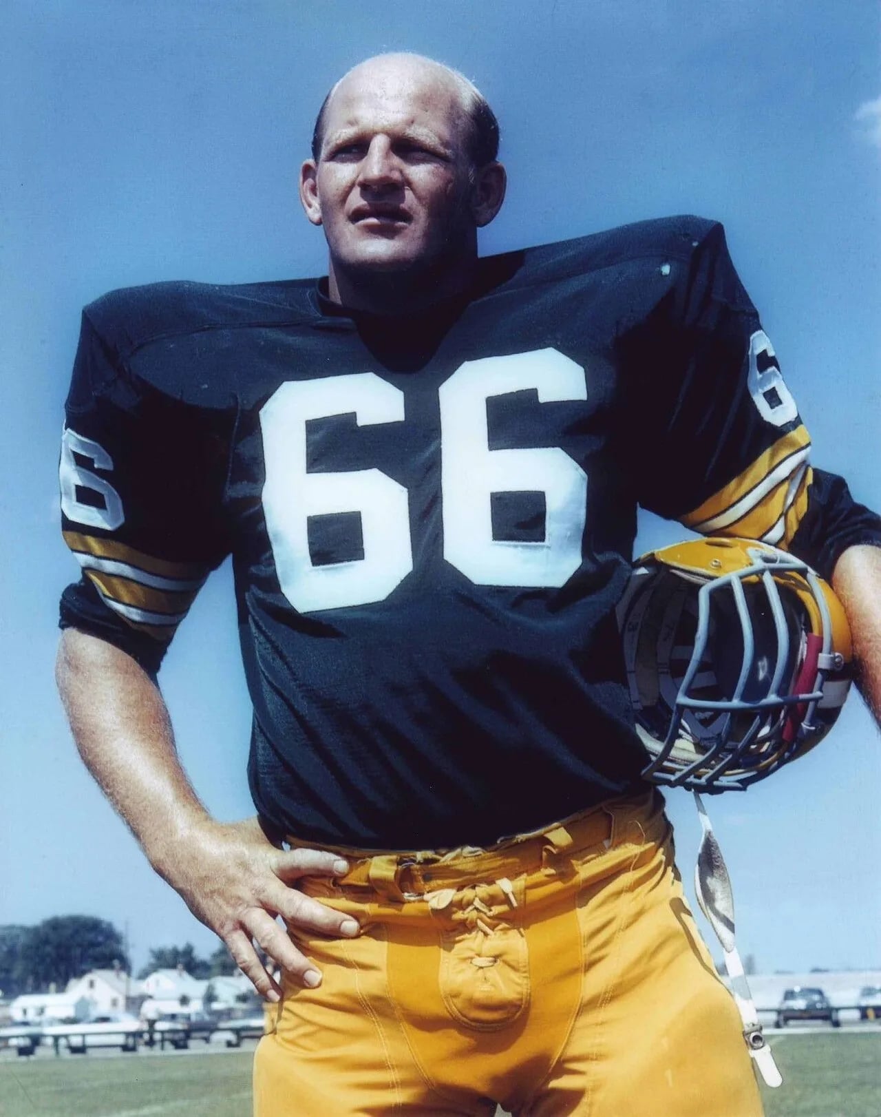 Porträt von Ray Nitschke (1936–1998) – Gedenkseite