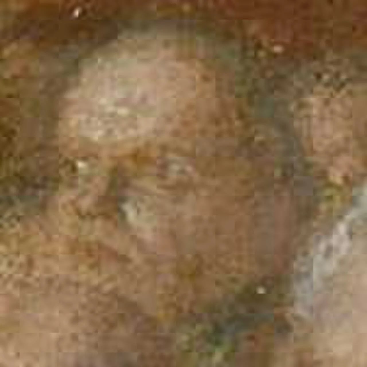 Portrait of Richard Tapper Cadbury (1768–1860) – memorial page