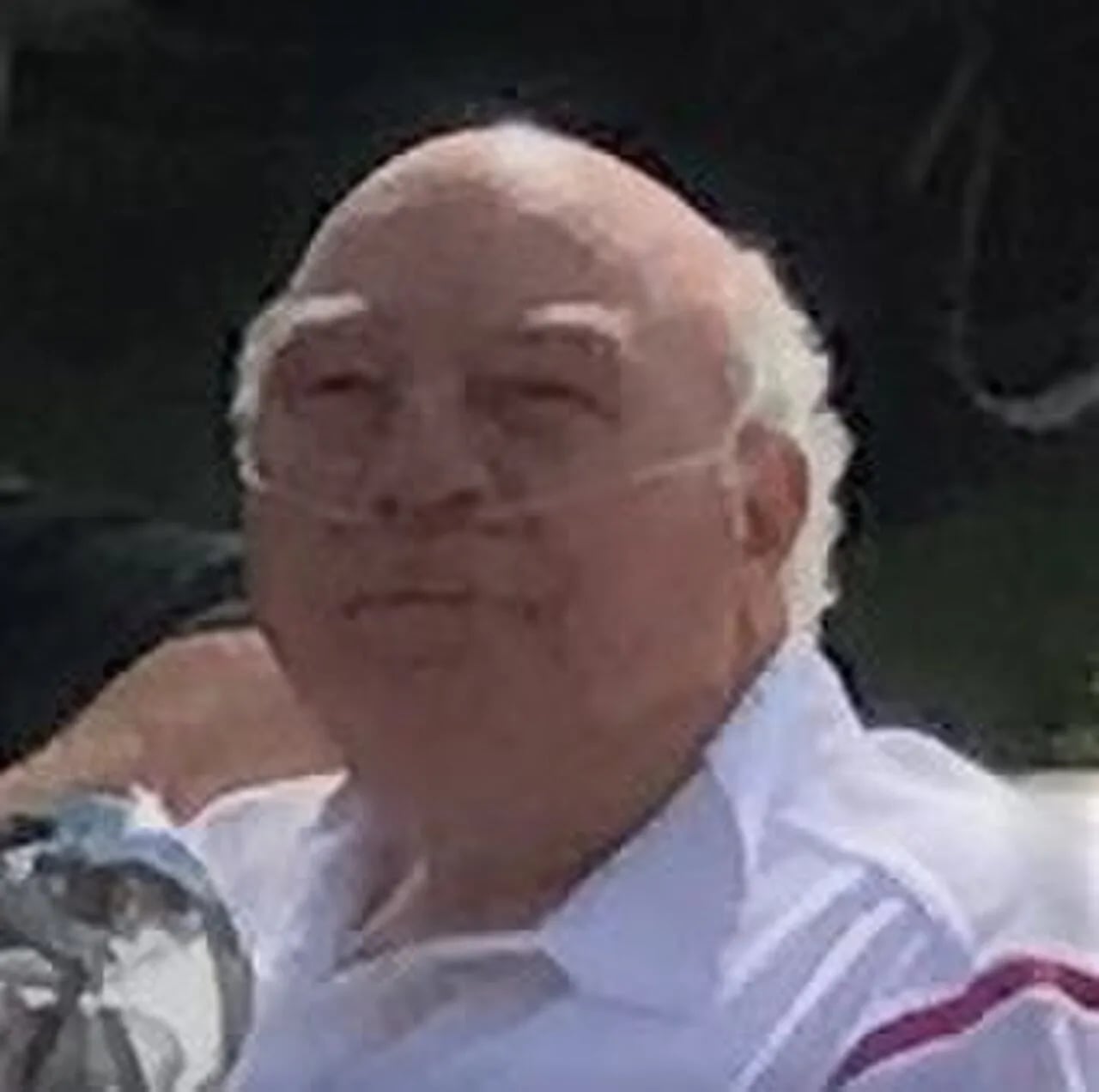 Porträt von Robert Murray (1940–2020) – Gedenkseite